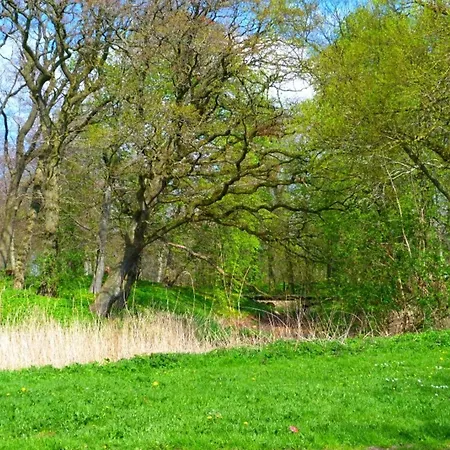 شقة 5 Person In Hojer-by Traum Højer