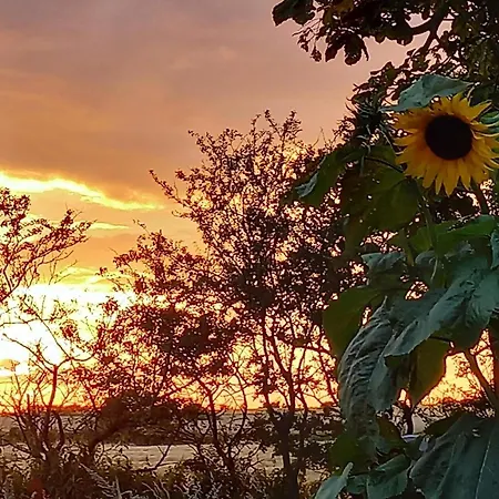 5 Person In Hojer-by Traum Højer