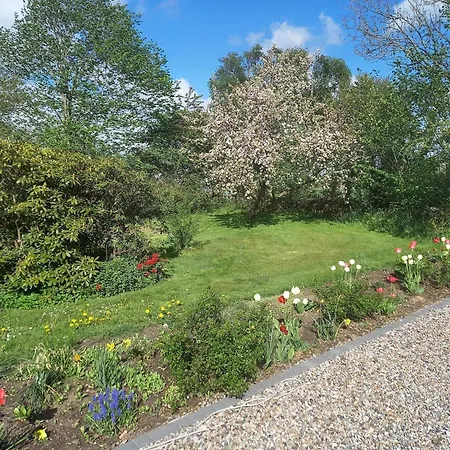 5 Person In Hojer-by Traum Højer