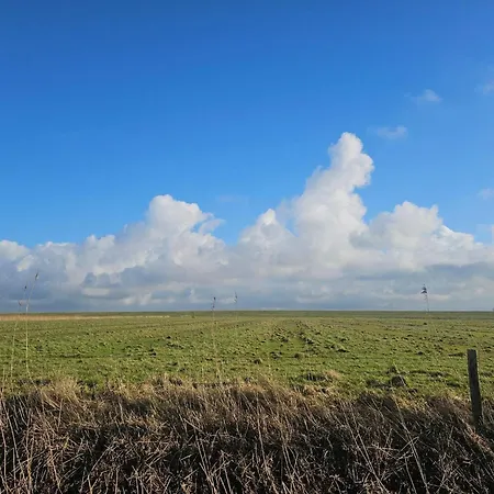 Appartement 5 Person In Hojer-by Traum