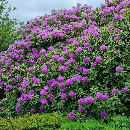 Appartement 5 Person In Hojer-by Traum Højer