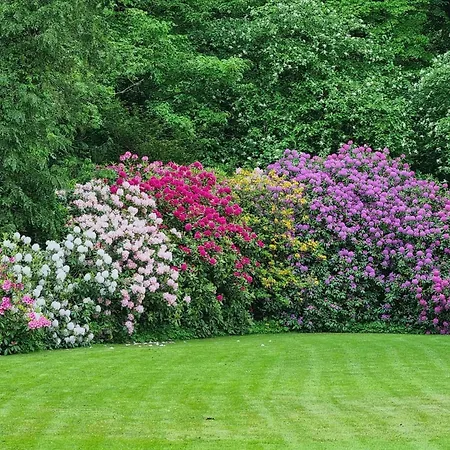 5 Person In Hojer-by Traum *