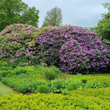 شقة 5 Person In Hojer-by Traum Højer