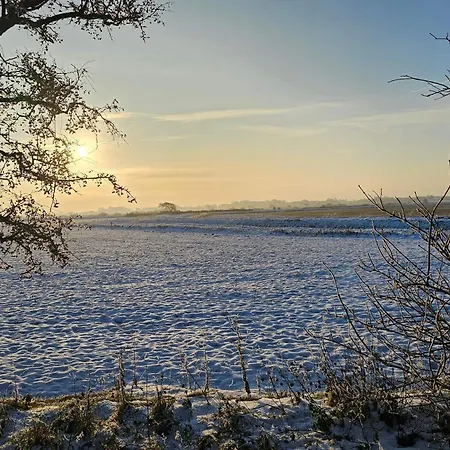5 Person In Hojer-by Traum Højer