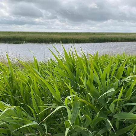 5 Person In Hojer-by Traum * Højer