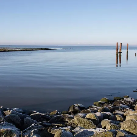 5 Person In Hojer-by Traum