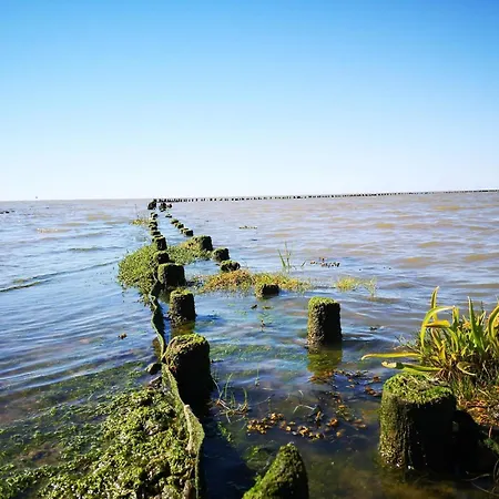 5 Person In Hojer-by Traum * Højer