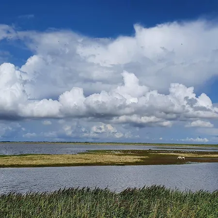 5 Person In Hojer-by Traum Højer